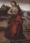 Giovanni Sodoma Rome s  Luke flower bud Qi oil painting